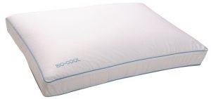 Sleepbetter Memory Foam Pillow with Cover Review