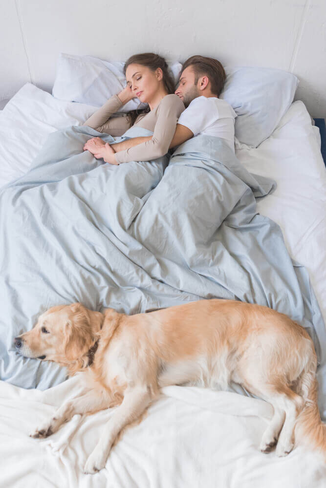 Woman and dog sleeping in bed