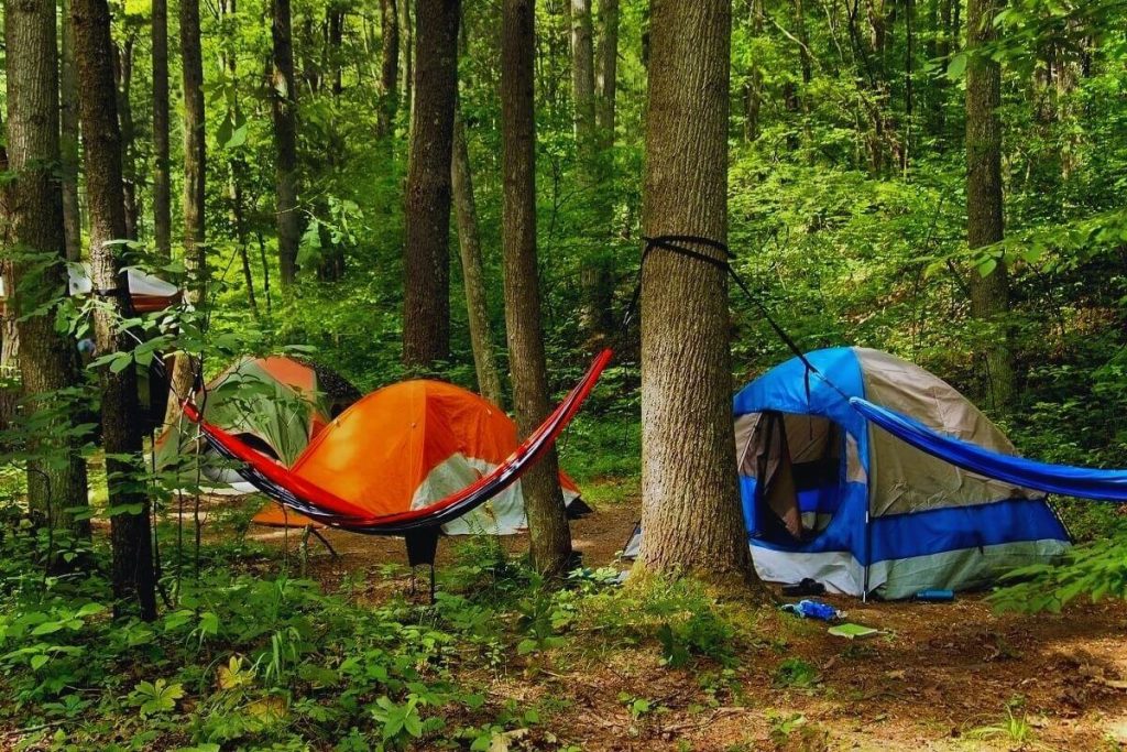Hammock Sleeping Pad and Camping Tent 